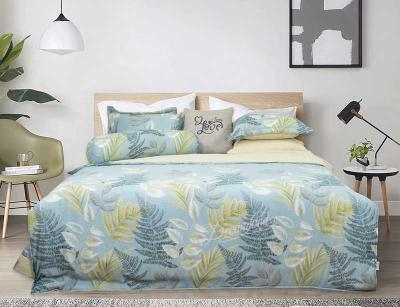 Bộ chăn ga Dreamland Tencel Bamboo TB15