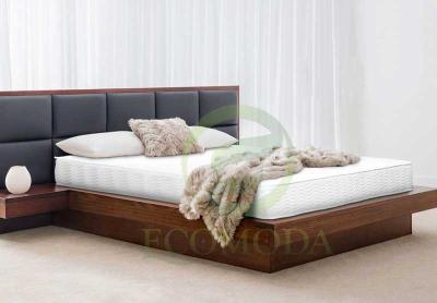Đệm lò xo túi Ecomoda 22cm