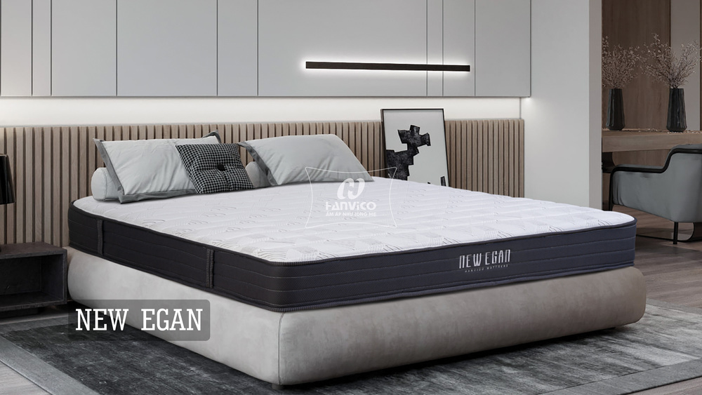 Đệm lò xo liên kết Hanvico New Egan 22cm