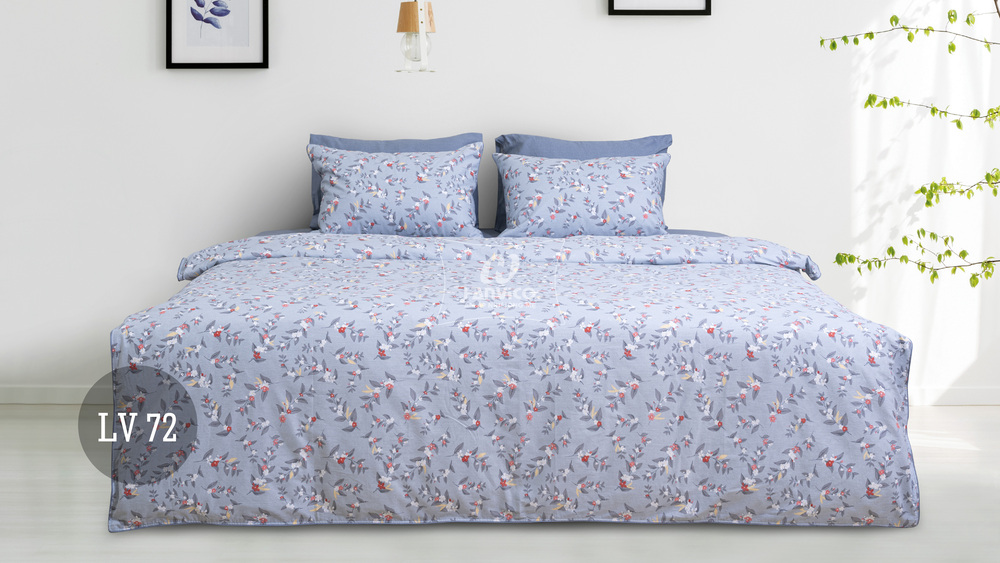 Bộ ga chun Hanvico Living – LV72