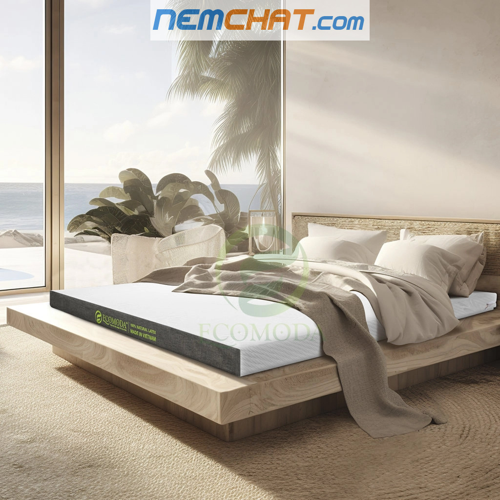 Đệm Cao Su Thiên Nhiên ECOMODA