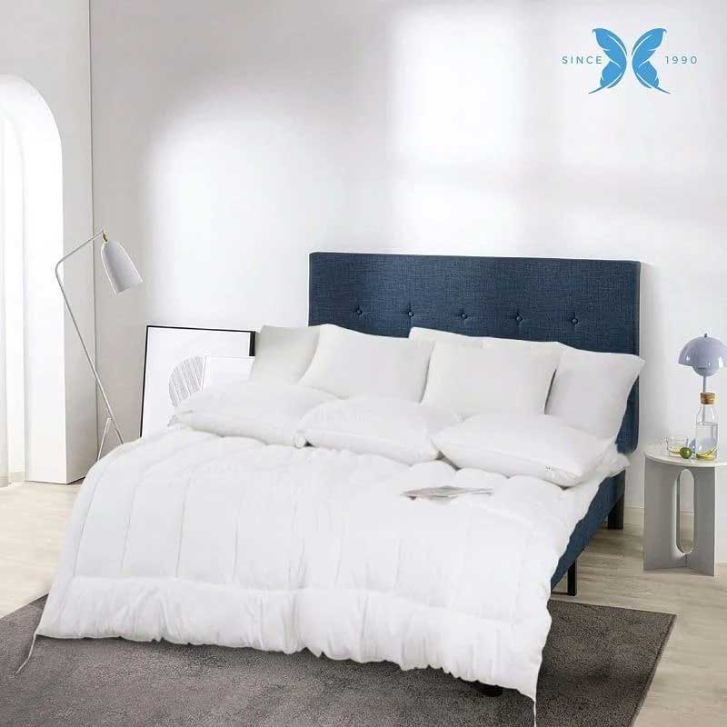 Ruột chăn đông Elan Vimatt