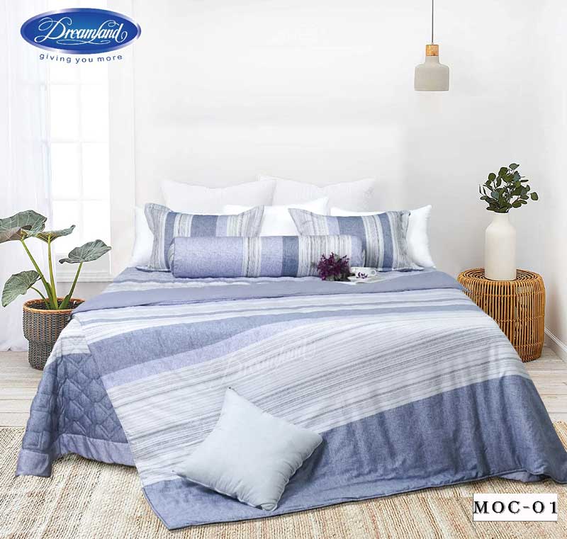Bộ chăn ga gối Dreamland Cotton MOC01