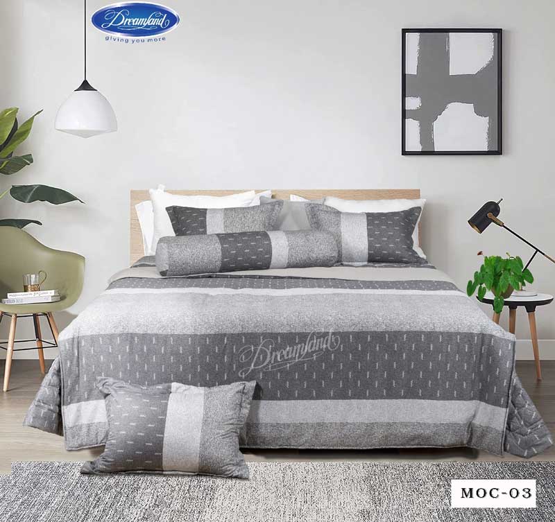 Bộ chăn ga gối Dreamland Cotton MOC03