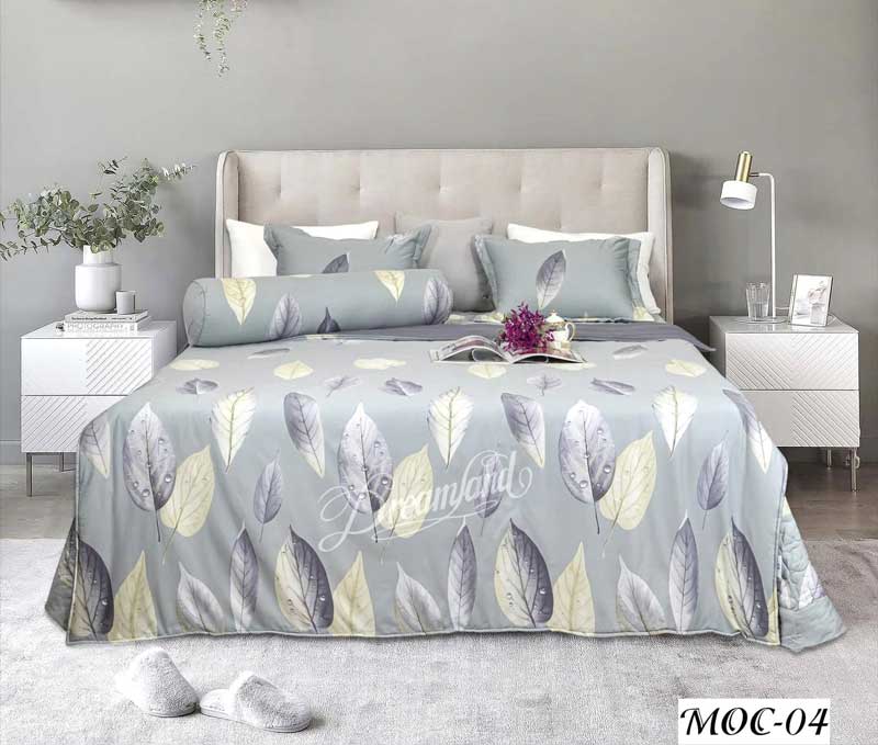 Bộ chăn ga gối Dreamland Cotton MOC04